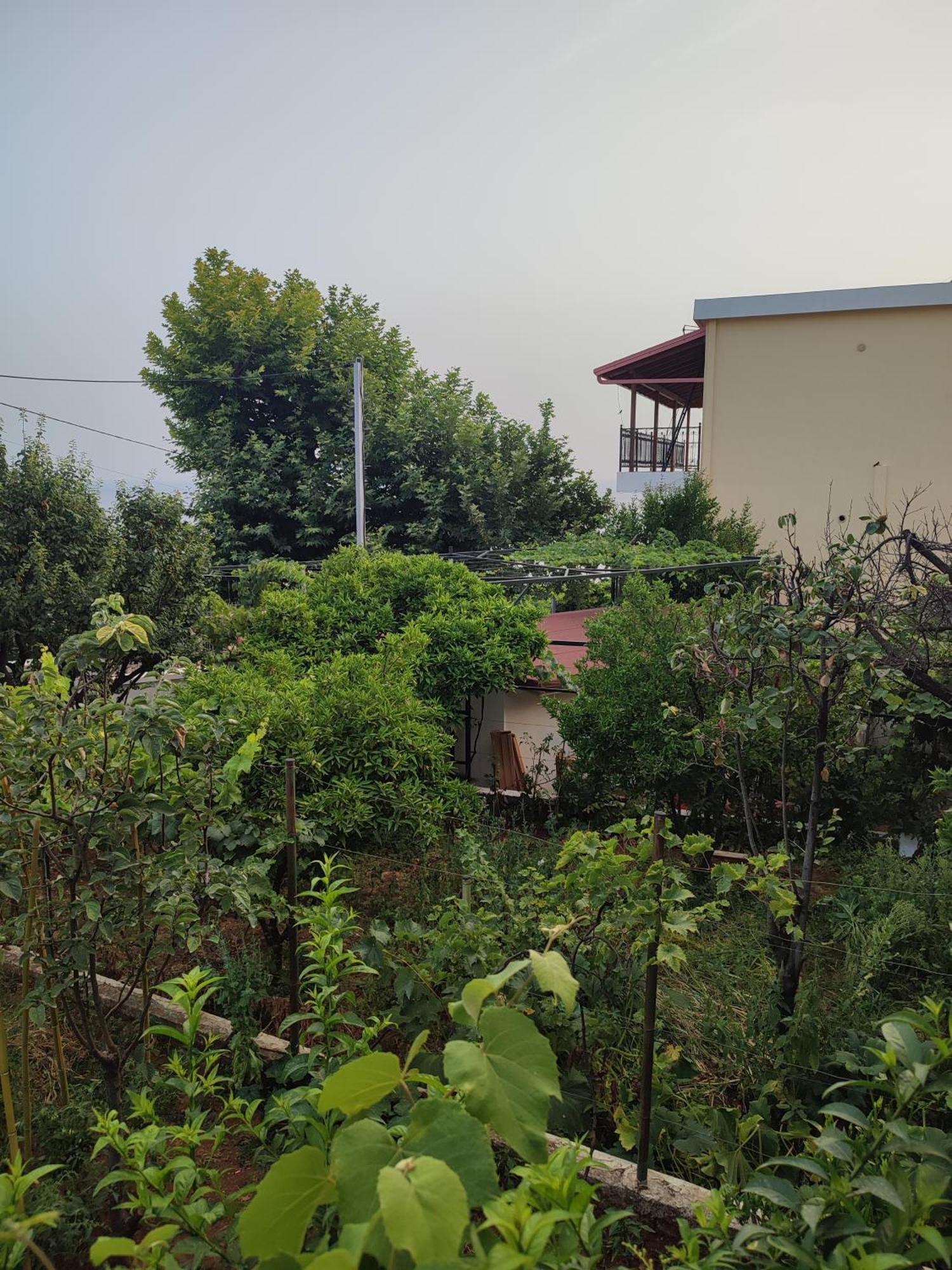 ديرمي Villa Janilla المظهر الخارجي الصورة